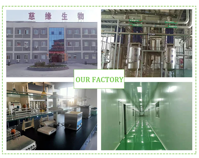 Ciyuan Supply high quality 40% Oleuropein olive leaf extract