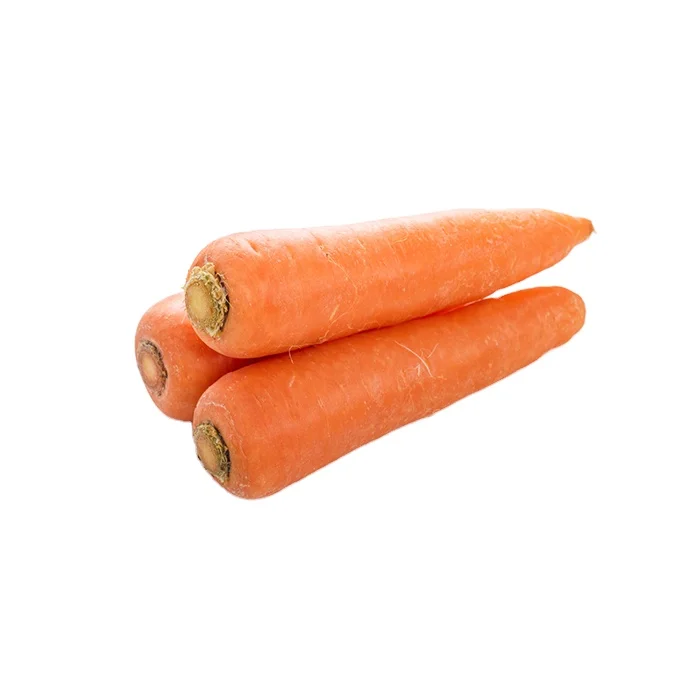 New Fresh Carrot Seeds Wholesale Best Price Red Carrot New Crop