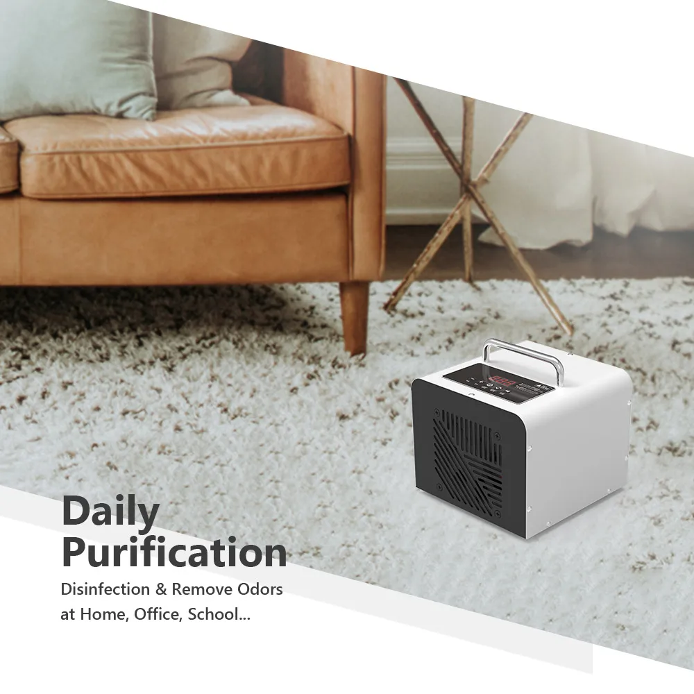 OEM Custom 220V 110V 20g 10g 5g / h  Portable Air Ozone Generator for Home Hotel Office Car