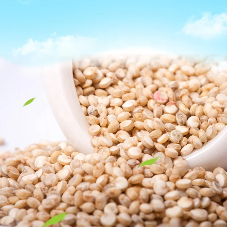  Тибетское происхождение плантации Прямая поставка Quinoa конкурентоспособная цена оптовая продажа