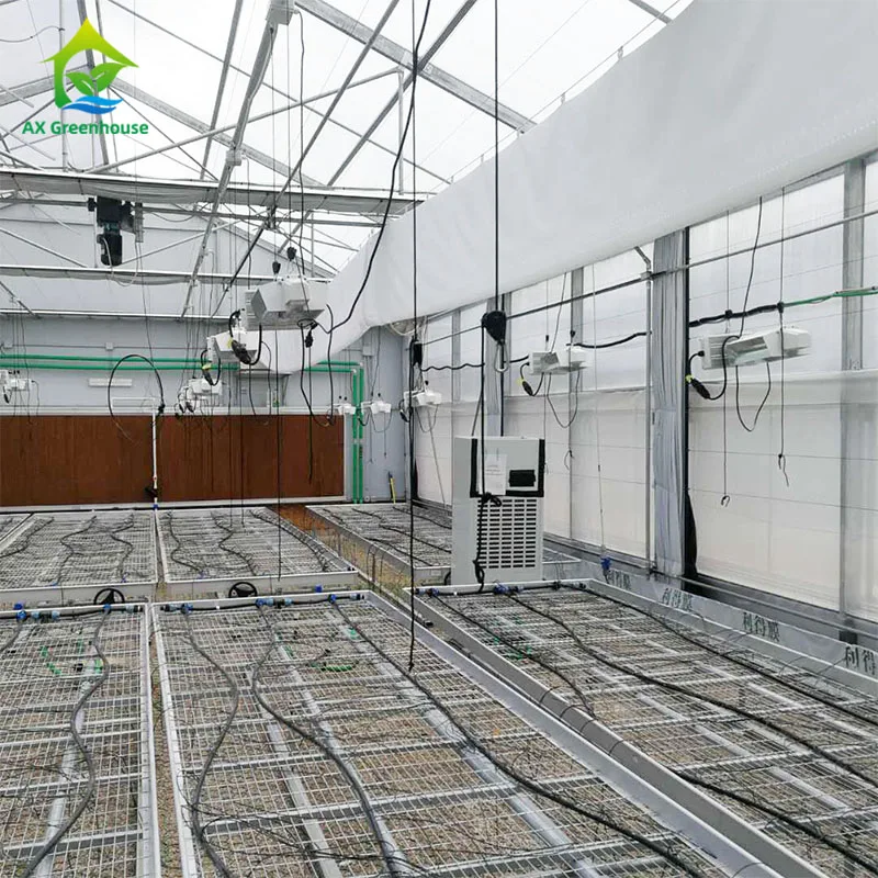 
Medical Plant Growing Fully Auto Blackout Shading Polycarbonate Greenhouse 