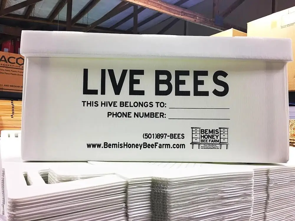 Plastic Bee Hives 5 Frames Nuc Box For Beekeeping Equipment Corflute Beehive Apicultura