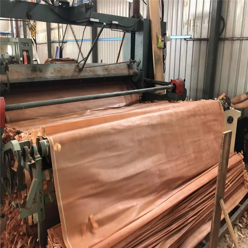 Rotary Cut Technics and Natural Gurjan Wood Veneer