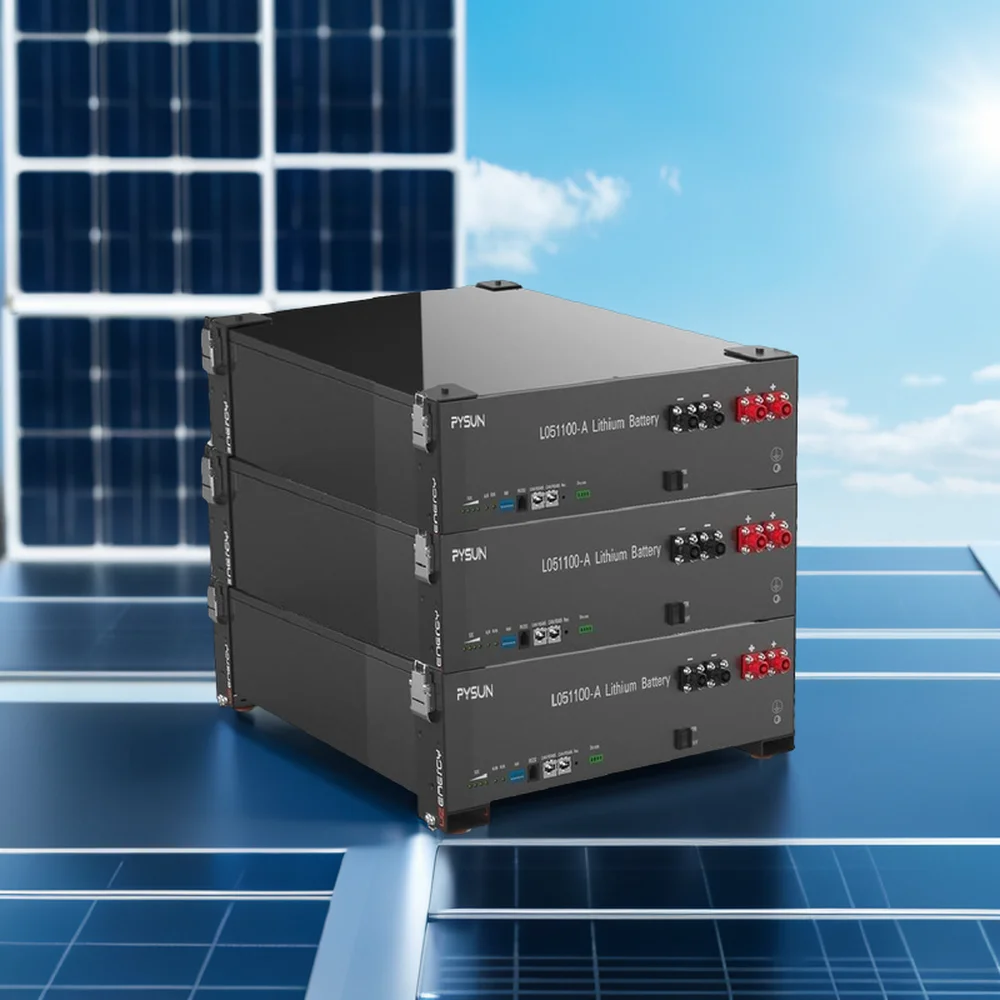 PYSUN 51.2V 100Ah Rack-Mounted Energy Storage Battery 10KWH Output Power Off-Grid Server Rack Battery with Certification