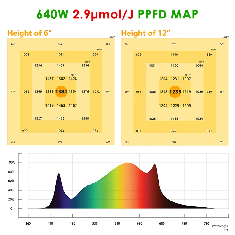 640W2.9UMOL
