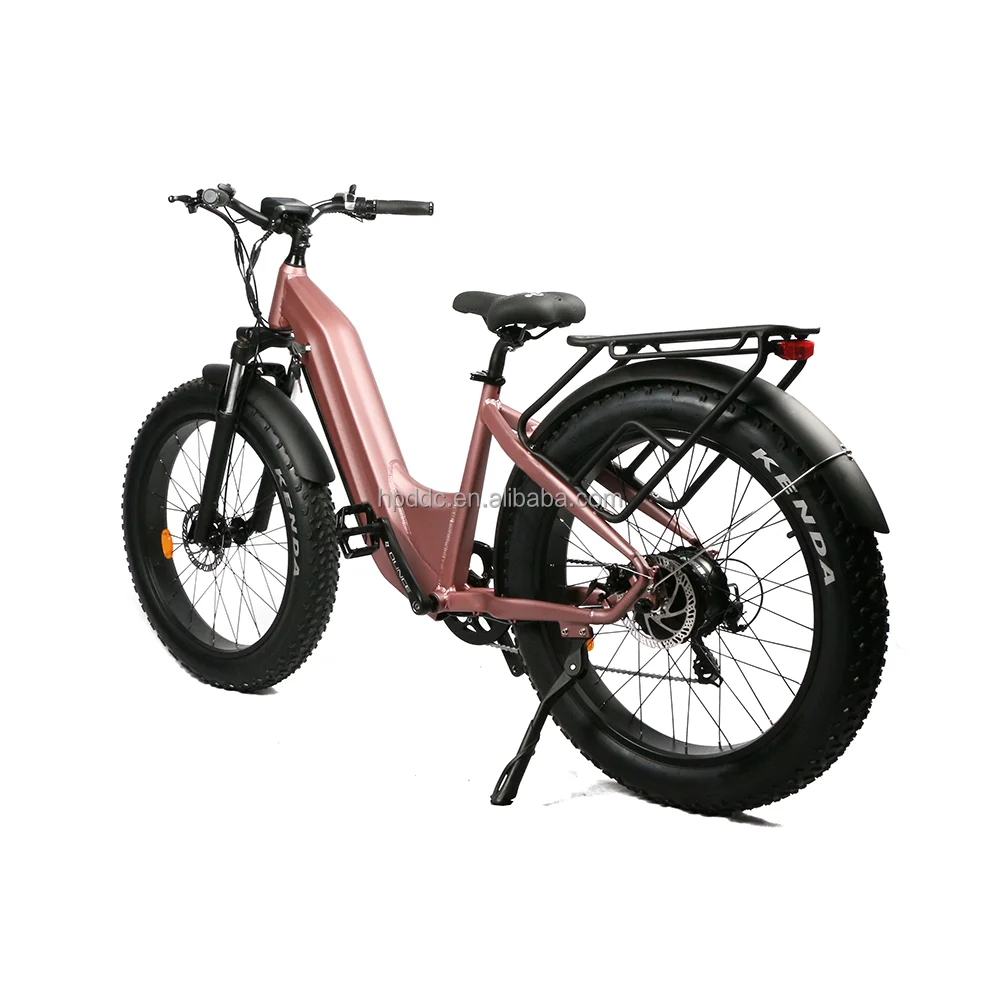 Two-wheel 500W powered motor 2024 electric mountain bike disc brake for both fat tire electric bike 7 speed ebike