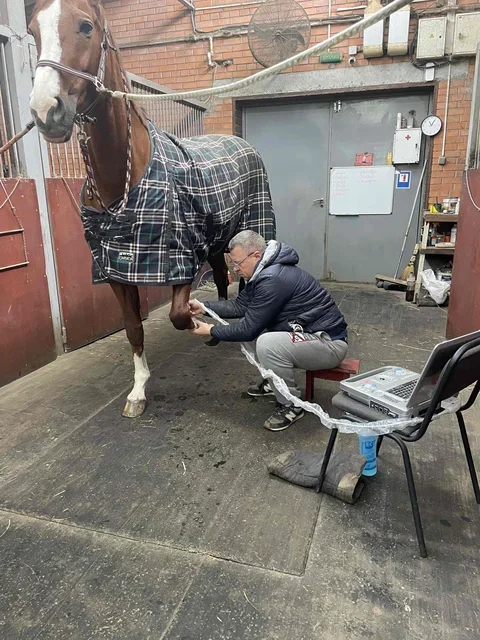 2 set software human and animal use Laptop Ultrasound Scanner Machine with probe