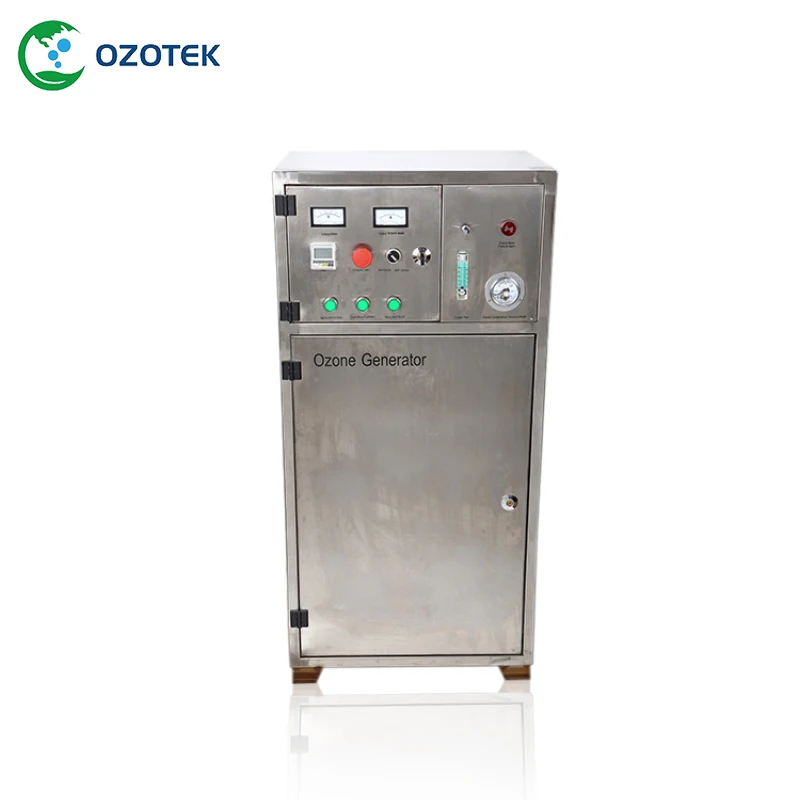 OZOTEK 60g ozone generator 220 v Inbuilt PSA Oxygen concentrator for water purification air purifier