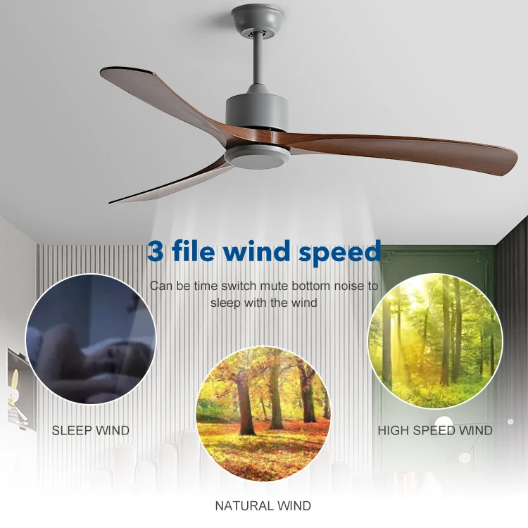 Multi Control Optional ABS 3 Blades 100% Pure Cooper Motor 220 Volt BLDC Ceiling Fan
