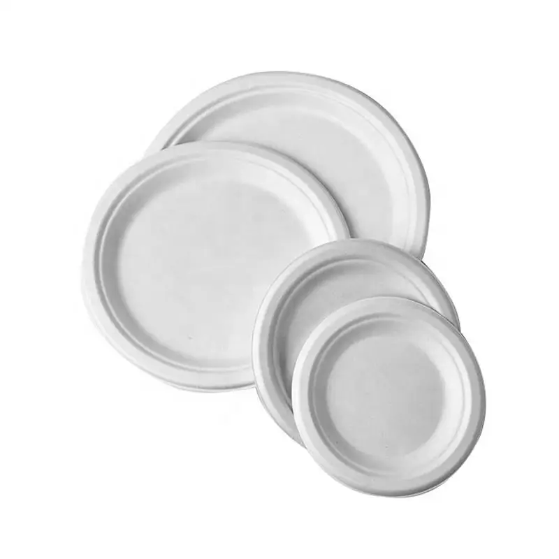 6 7 8 9 10 Inch Sugarcane Bagasse Pulp Food Tray Compostable Disposable Sugarcane Natural White Round Paper Plates