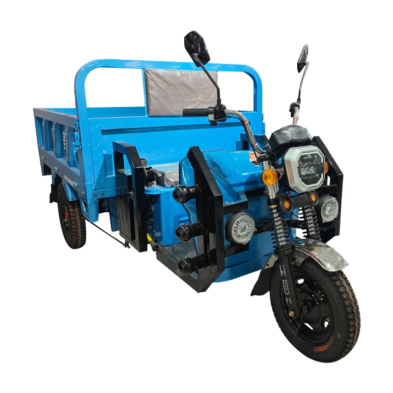 Automatic Reverse Electric Tricycle Ce 60V 1000w Cargo Electric Tricycle for Adult 2 Battery