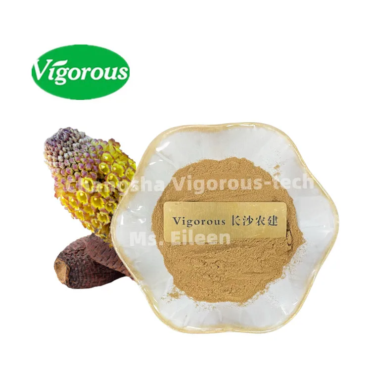 Organic Rou Cong Rong Extract Powder Health food Cistanche tubulosa Extract