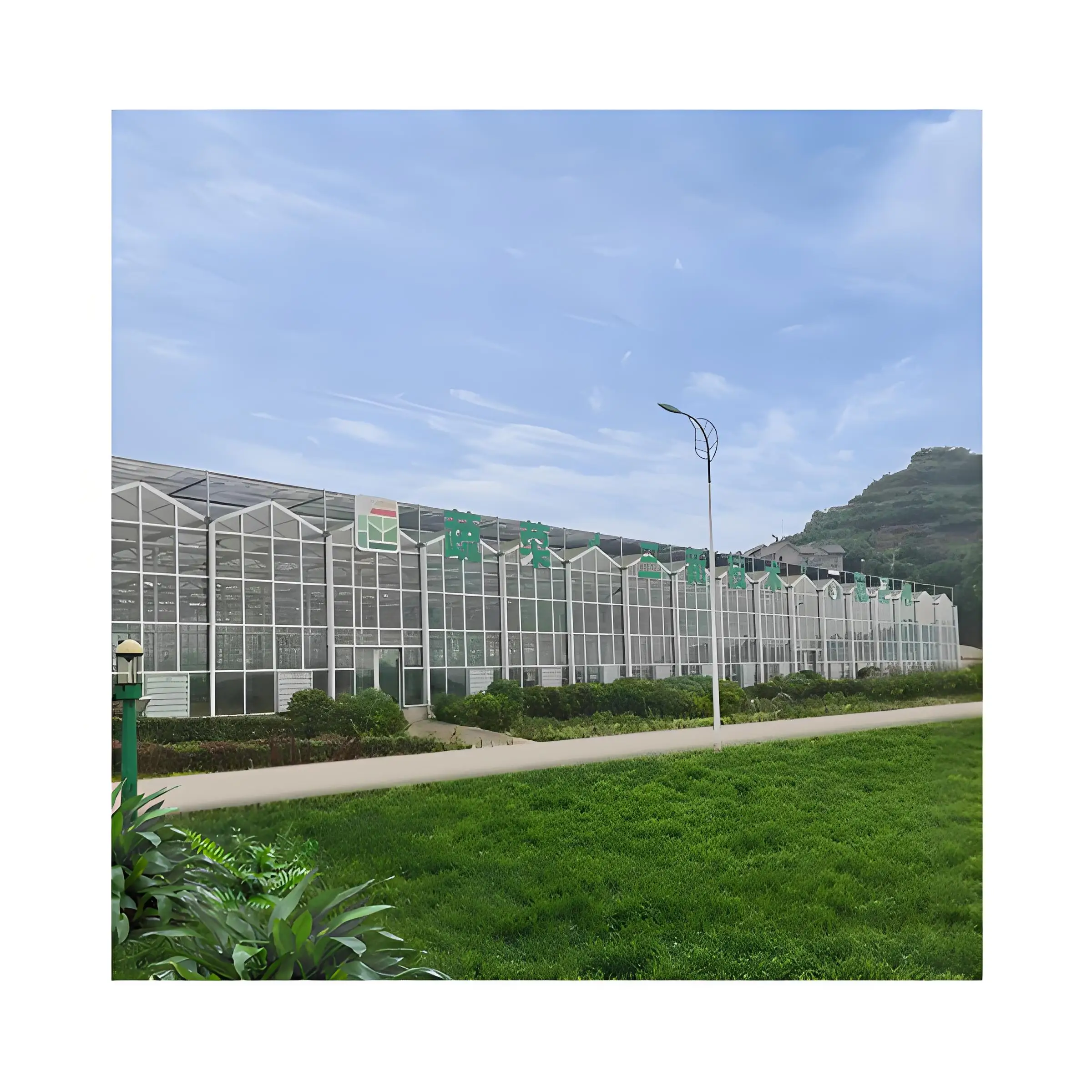 Modern Style High-Efficient Agricultural Greenhouse Hydroponic Growing System for Seed Raising  Glass Green house