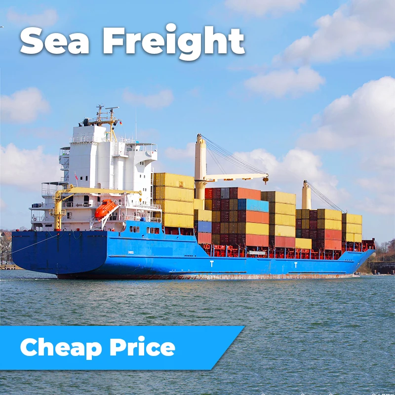 Sea Shipping Freight Agent Fcl UAE Lcl China To United Arab Emirates
