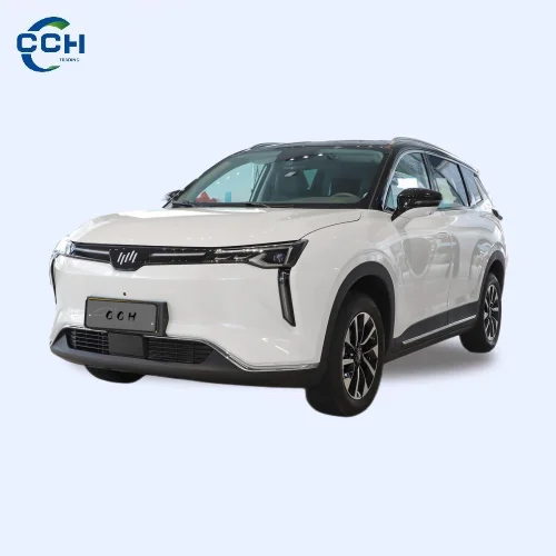 2022 WM W6 Новый энергетический автомобиль Weltmeister электрический NEDC 520 км пять мест длительный срок службы батареи электромобиль