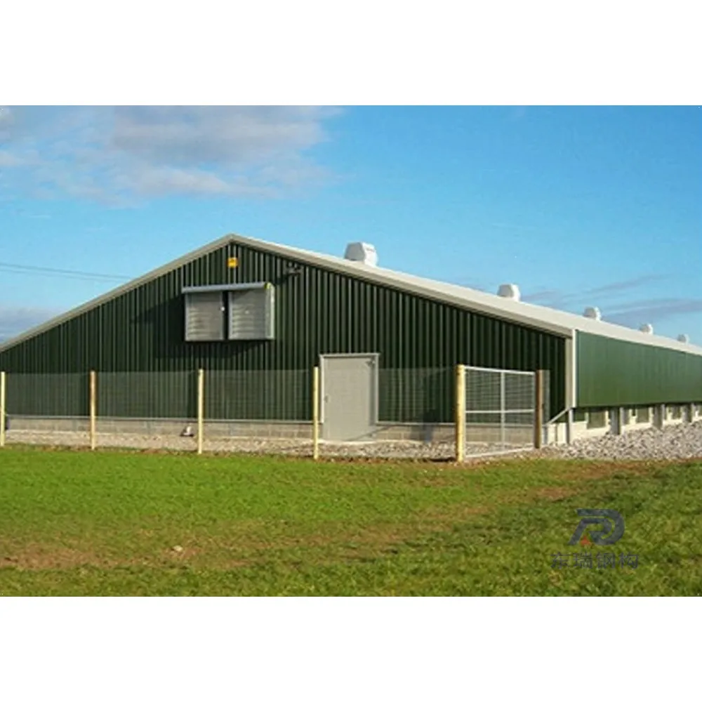 simple design steel structure sheep goat farming building in Australia