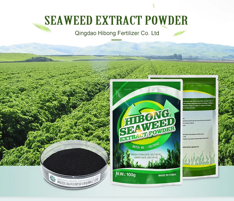 Seaweed Fertilizer Powder