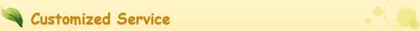 Customize Service.png