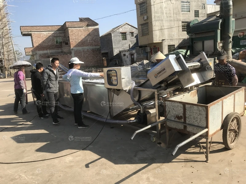 Gorgon fruit Small Little Fruits Vegetable Washing Machine