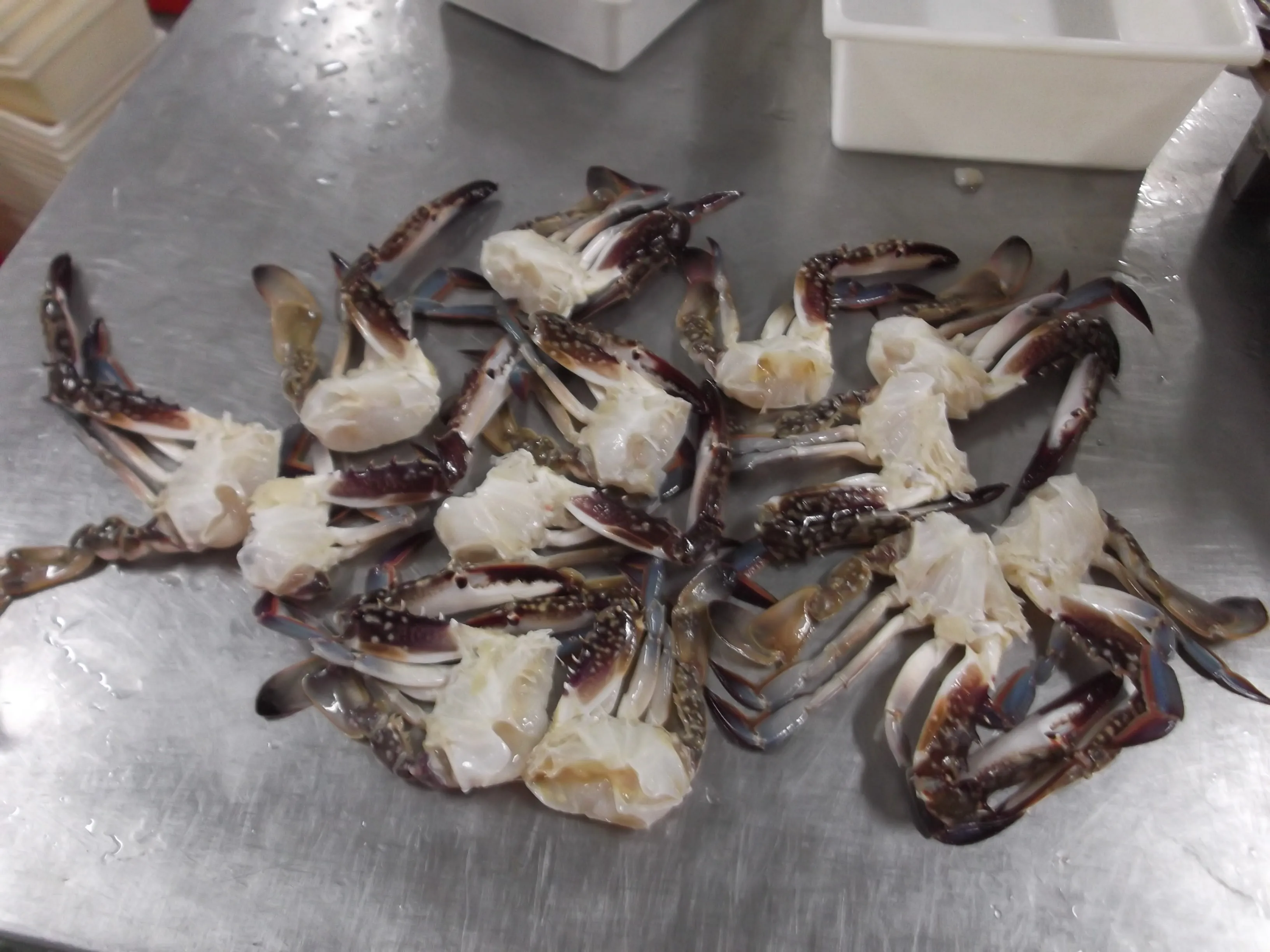 Wholesale New Stock Hot Sale Frozen Crab Seafood Frozen Cut Swimming Crab