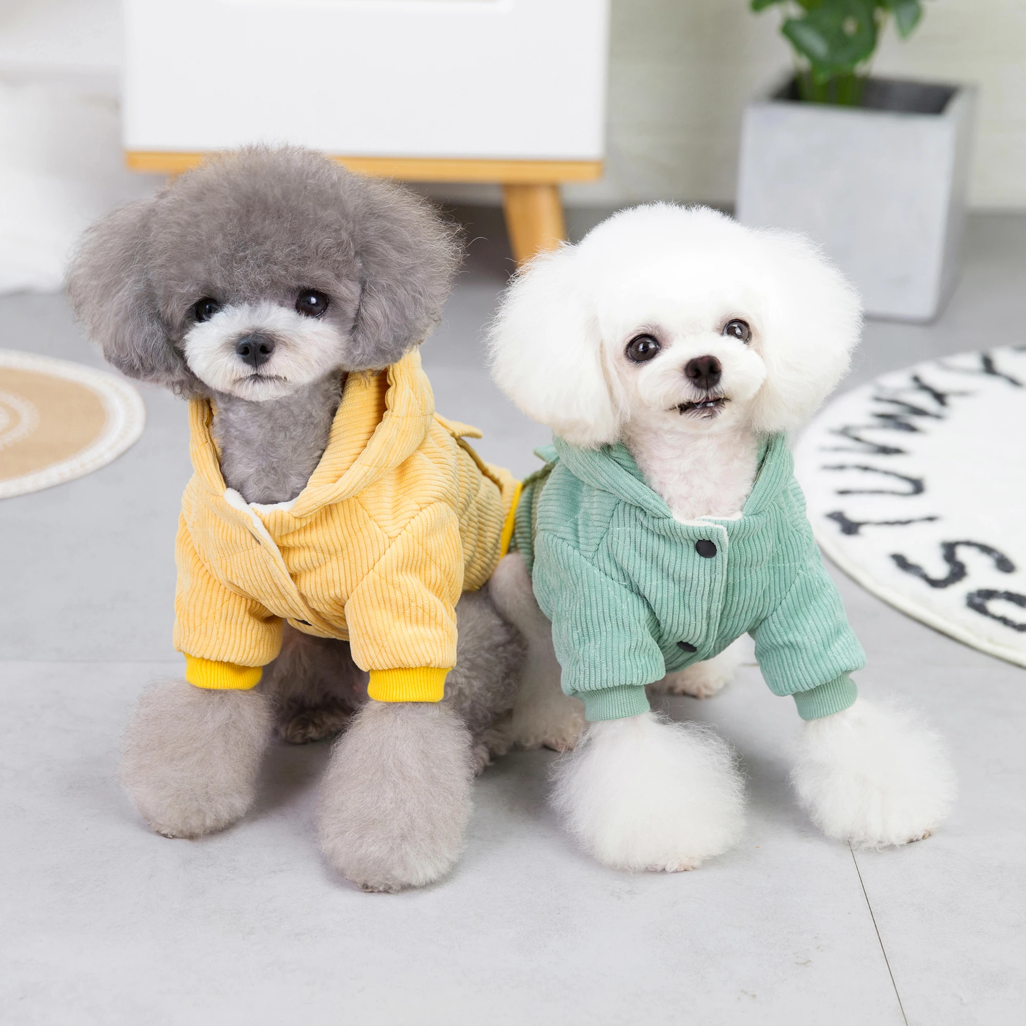 Corduroy two legged cotton pet coat jacket green yellow cotton hoodie with pocket coats for dogs cats in winter
