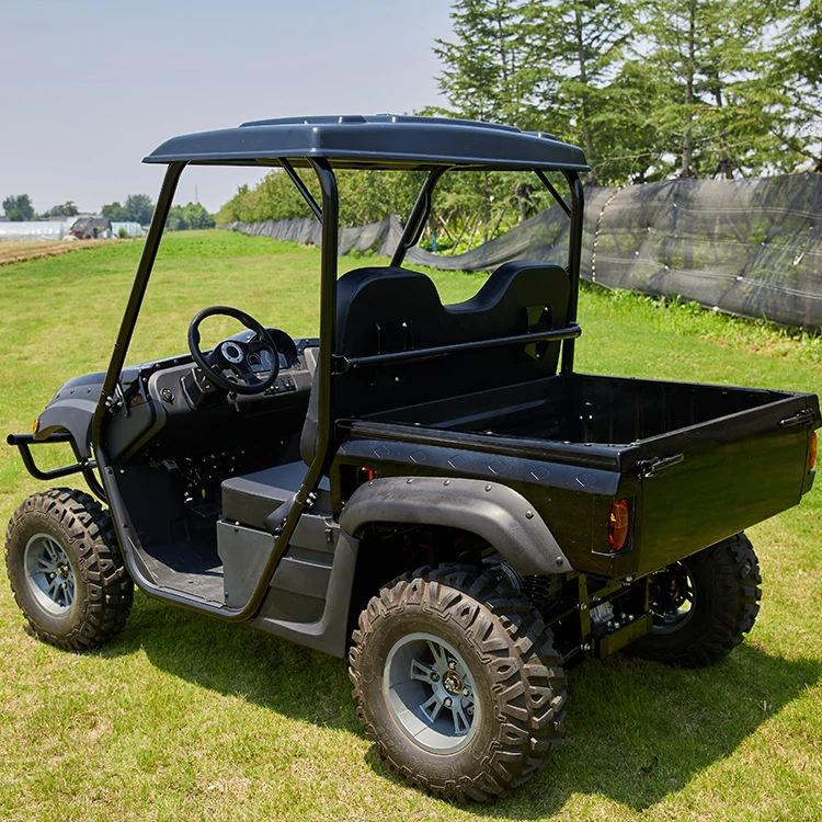 Customization 10kw Utv Electric Dual Motor Utv Electric 4x4 Adult for Leisure and Entertainment