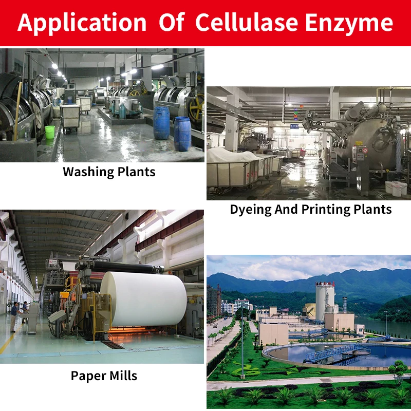 Industrial textile enzyme liquid textile auxiliary agent fabric denim leather paper polishing abrasive cellulase enzyme