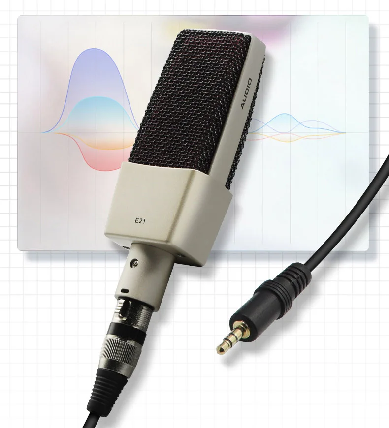 Professional Studio Recording Condenser Microphone with Cardioid Large Diaphragm Shock Mount for Broadcasting Live Stream Online