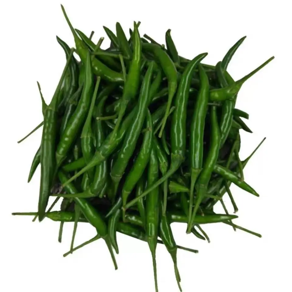 Hot sell Green Spicy Fresh Chili High Quality Chili At Wholesale Price with Competitive Price from Thailand