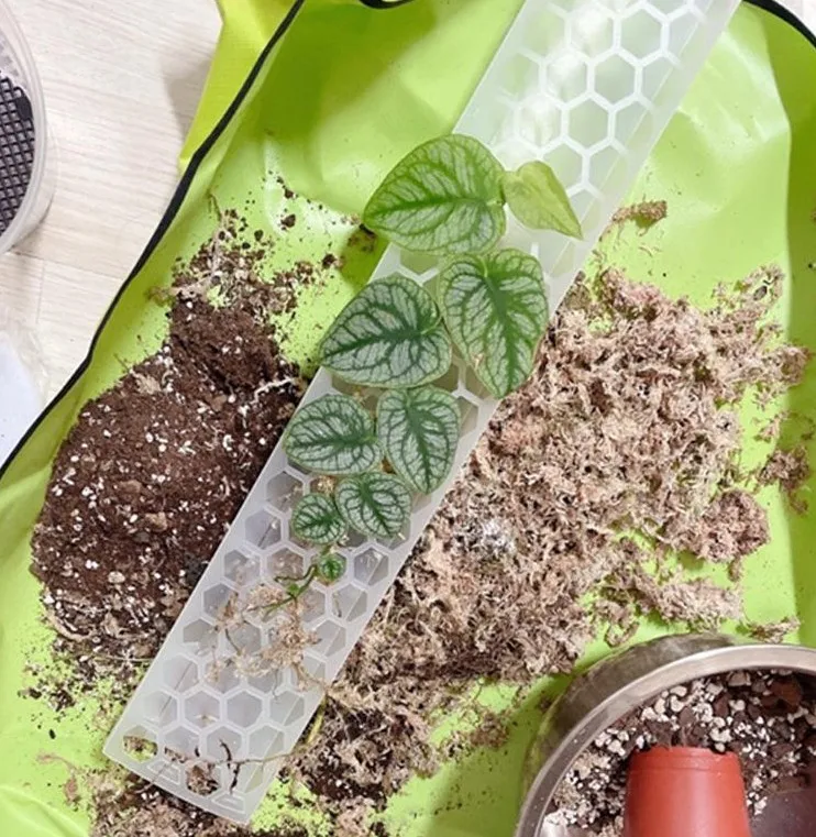 Plastic Moss Pole Indoor Plant Extension Poles for Climbing Plants support pole,