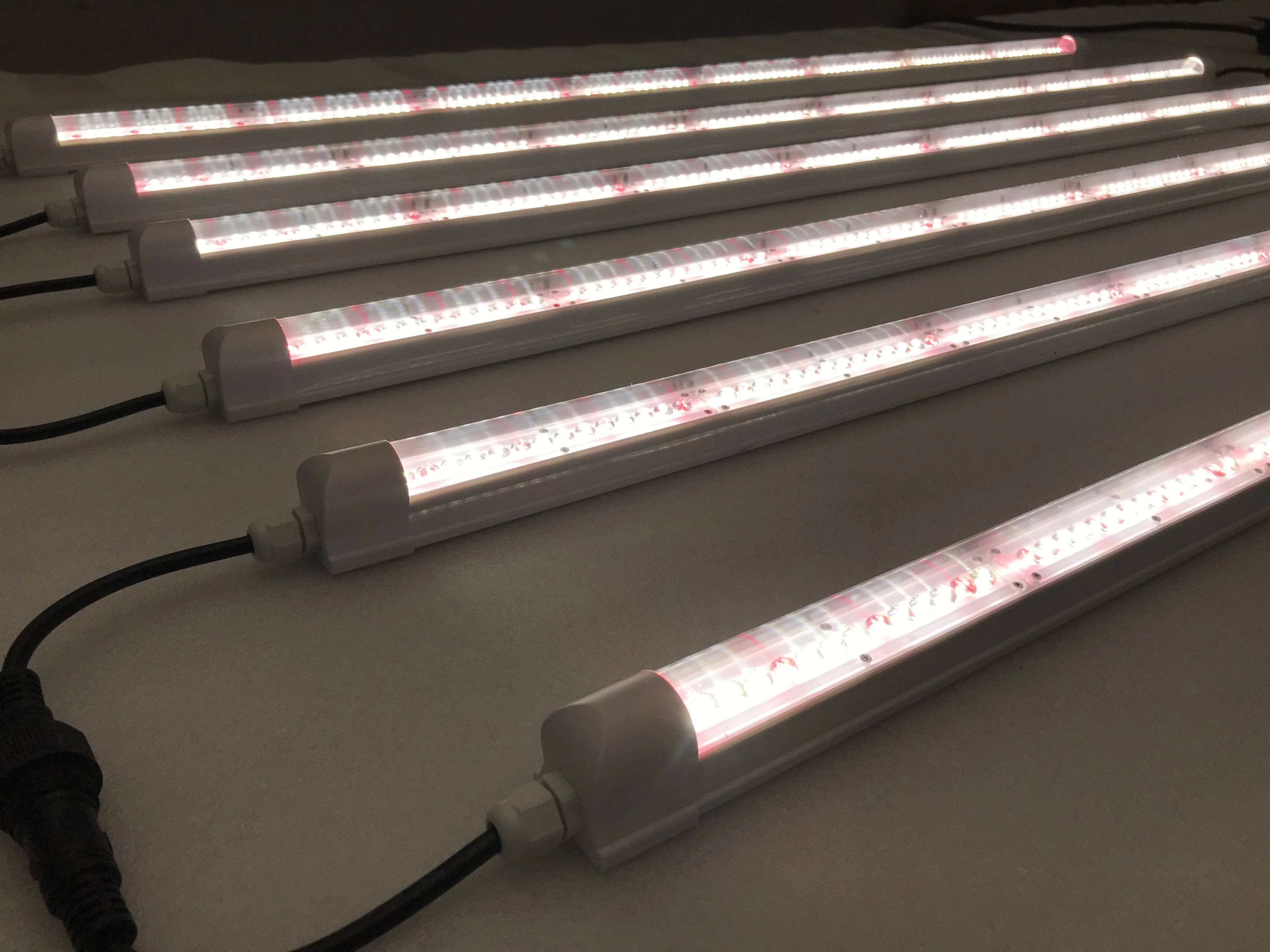 Chinese Manufacturer Wholesale T8 Greenhouse Supplemental Lighting