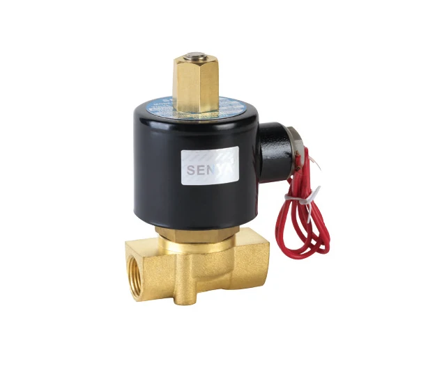 2WK Series Direct Acting Solenoid Valve 12V 24V Normally Open Brass Water Solenoid Valve 220V Solenoid Valve
