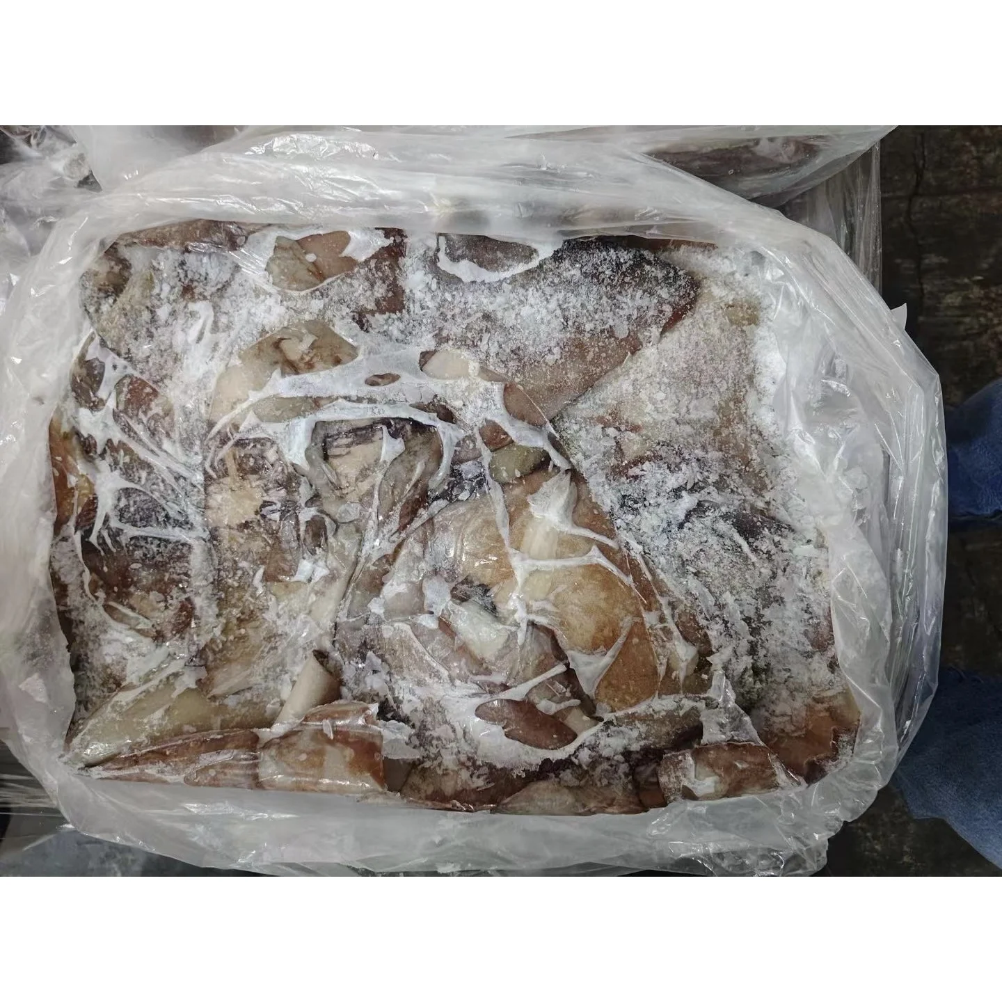 Frozen Seafood 1-2kg BQF Frozen Squid Wings/Ear