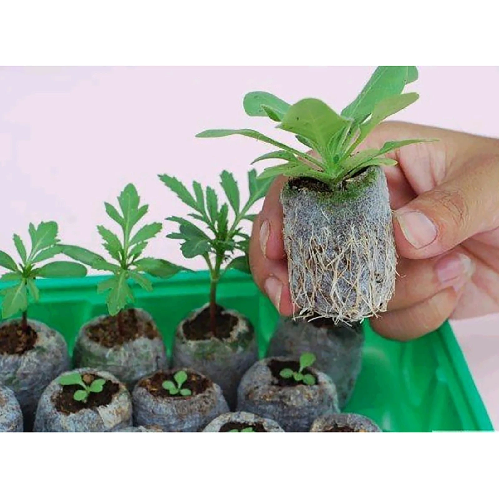 20 шт. кокосовые волокна вилки оптовая продажа койра гранулы кокосовый торф гранул для выращивания растений