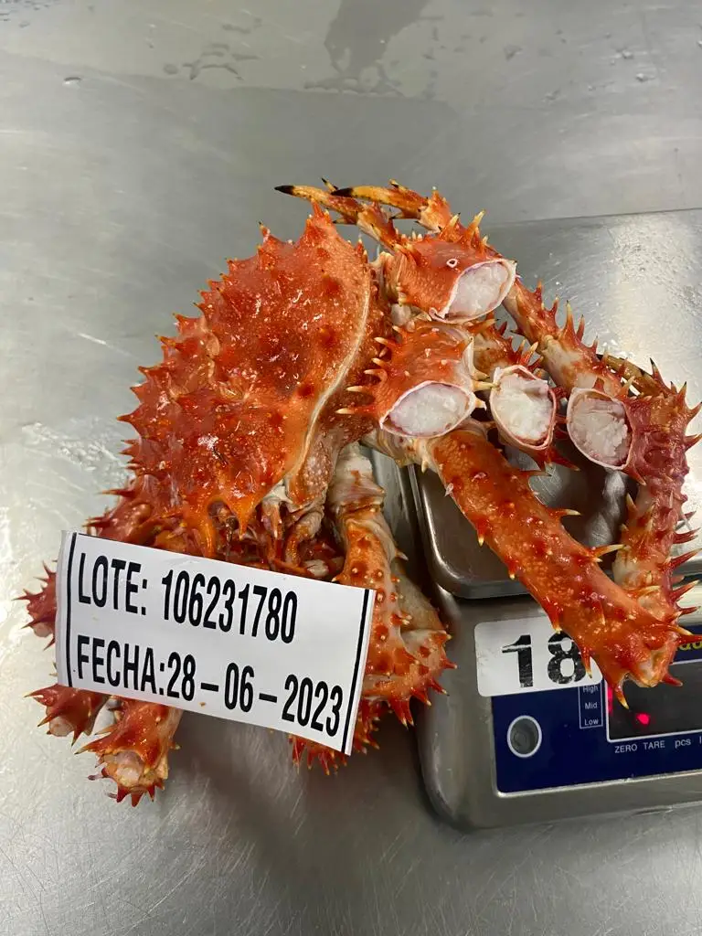 Frozen Boild King Crab Chile Origin New season