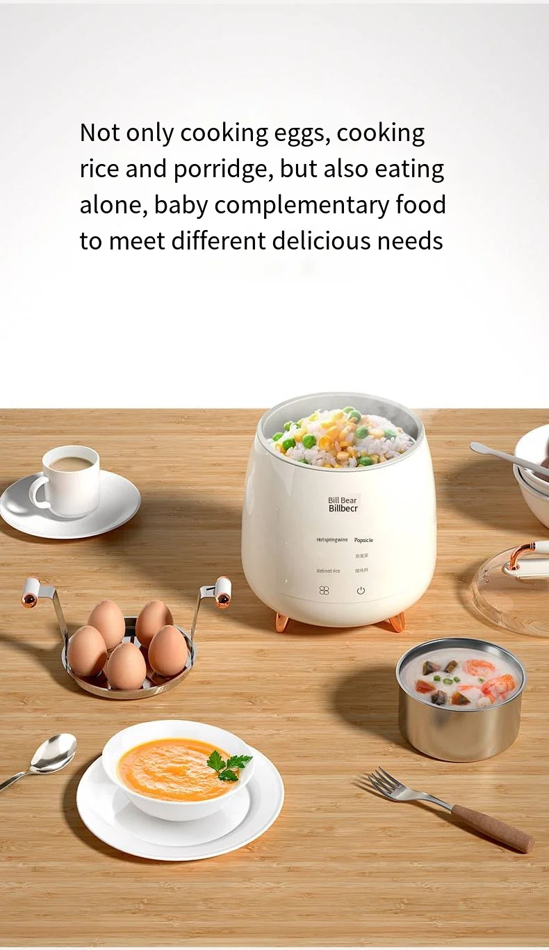 Automatic Mini Egg Cooker Steamer Stainless Steel Plastic Housing Developed for Household Use in Japan Kitchen Cooking Tool