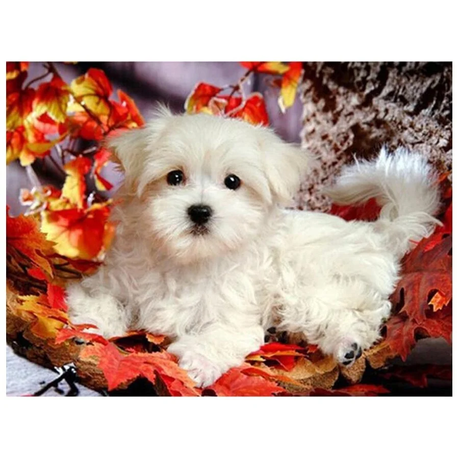 
Maltese Dogs 5d Diy Diamond Painting Full Embroidery Cute Pet Home Decor White Dog 