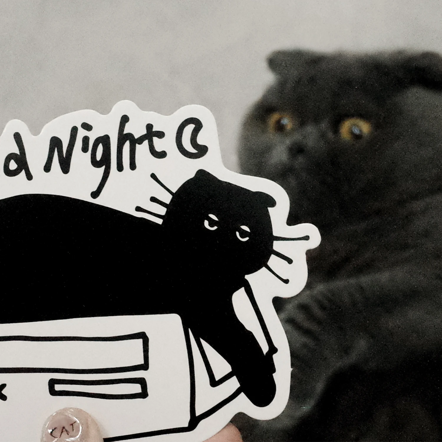 Mr. Paper 1 Design 30 Pcs/Box Postcard Cute Black Cat Cartoon Animal Decoration Postcard for Kid DIY Decoration