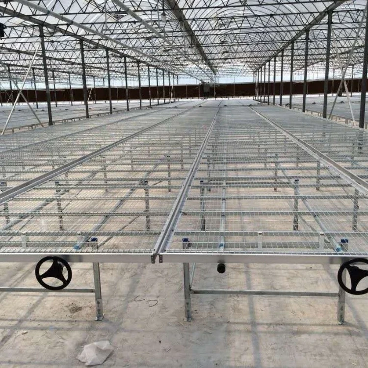 Hot Sale Agriculture Greenhouse Galvanized Wire Mesh Rolling Benches Movable Seed Beds For Nursery