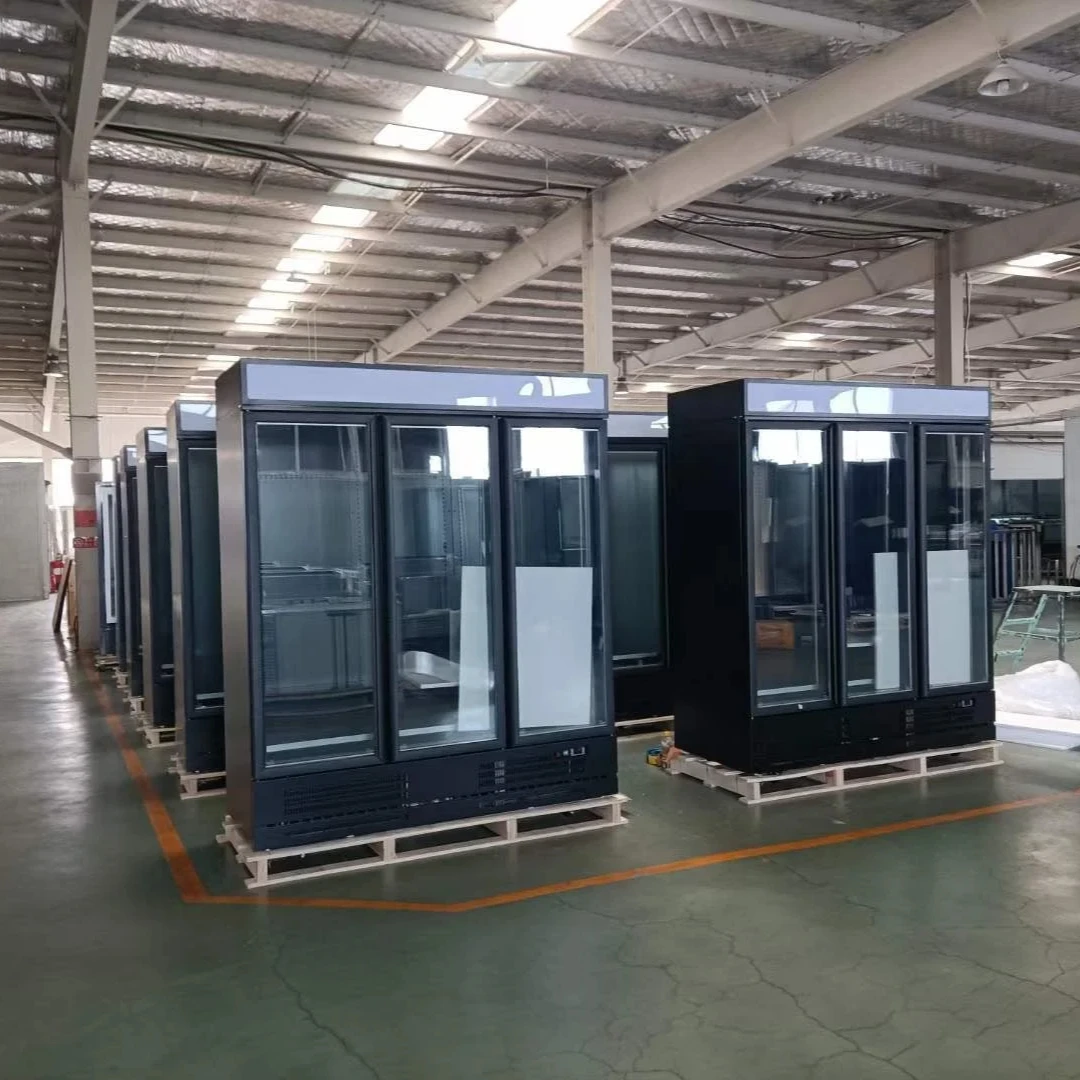 Commercial Beverage Refrigerator Freezer Vertical Showcase Freezer Upright Freezer With Single Glass Door