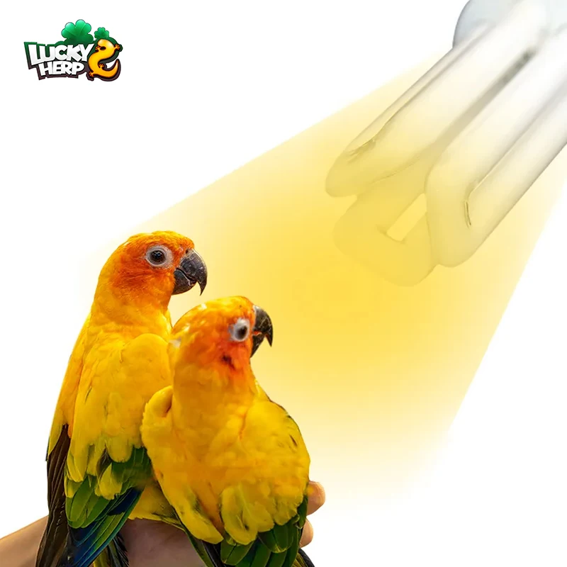 LUCKY HERP UVA UVB Light Bulb Lower Price E26 E27 base bird lamp 20W 2.4 UVB bird Compact fluorescent lamp light for Birds