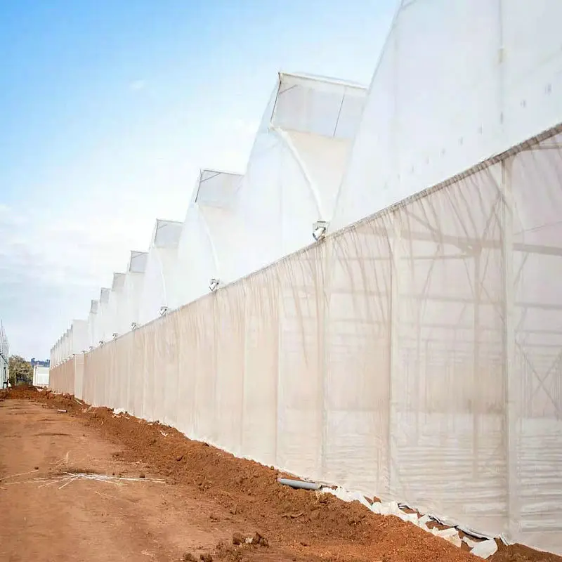 Agricultural Sawtooth Greenhouse with vertical hydroponic