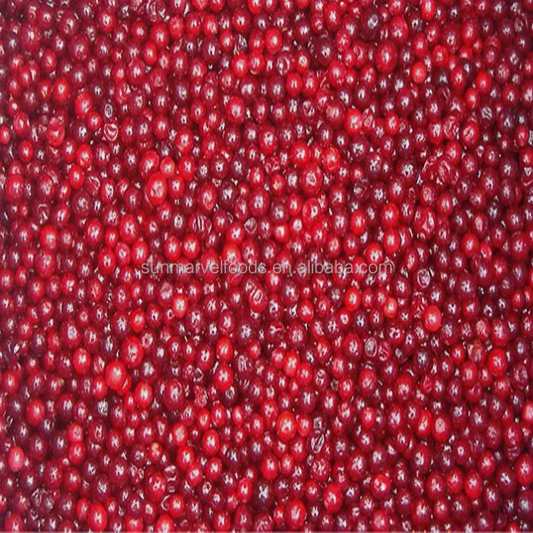 Quick Frozen Fruit Berry for Beverage Producing organic frozen lingonberry bulk