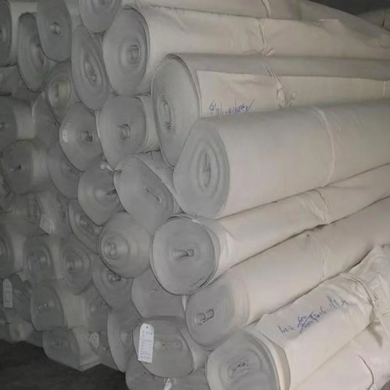 Best quality competitive price geotextile 500g m2