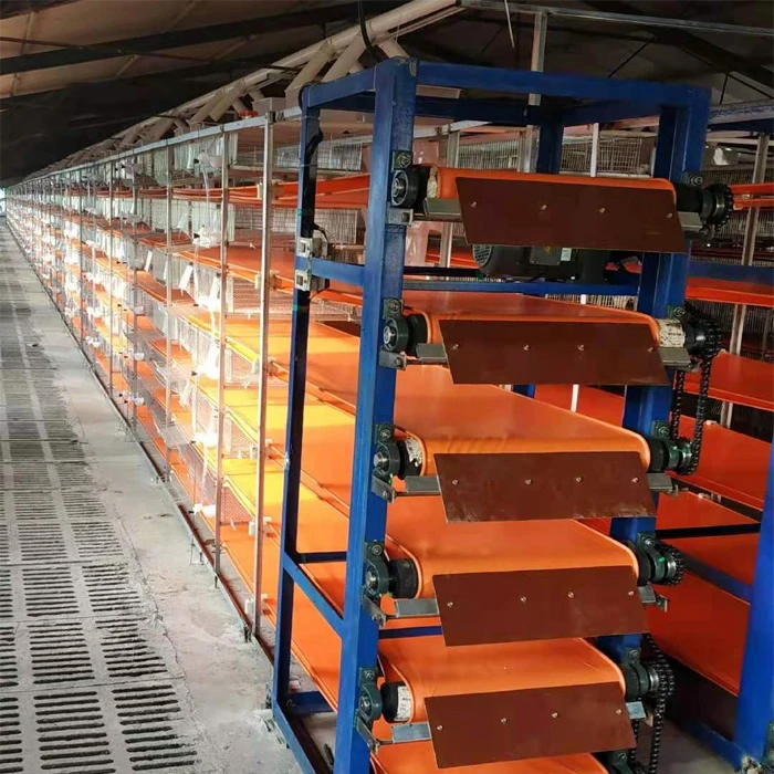 Automatic H type 6 floors quail eggs for egg production layer quail cage for sale