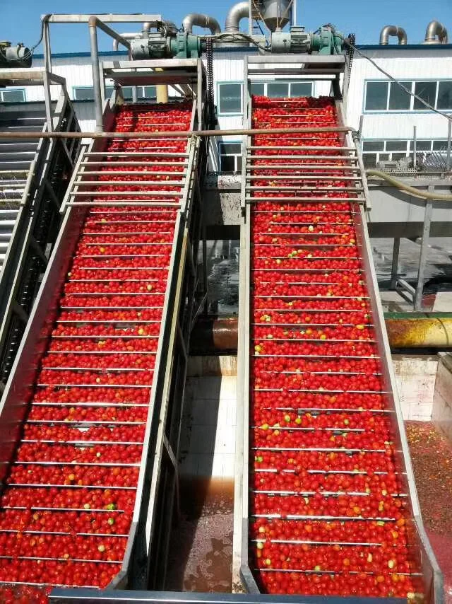 Green and Healthy  Peeled Tomato In Tomato Juice