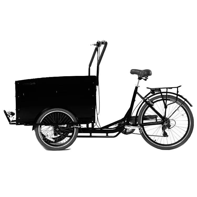 Bicycle with cargo box new design bike electric modern 3 wheel tricycle