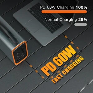 1000W Pure Sine Wave 220v Outdoor Camping Lithium Generator Supply Bank Solar Station Portable Power Stations