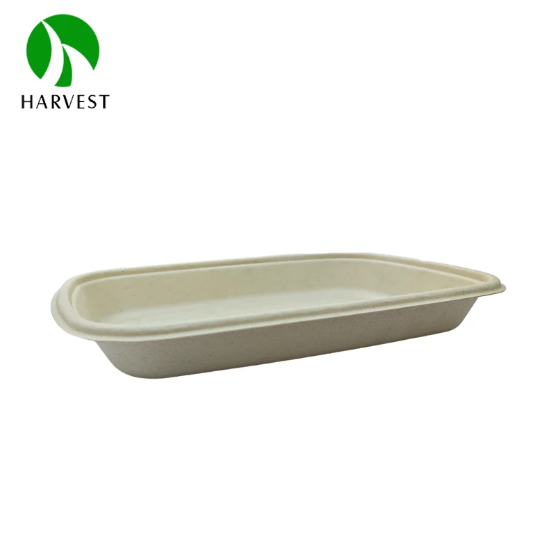 500ml  Disposable food packing microwavable sugarcane bamboo plates