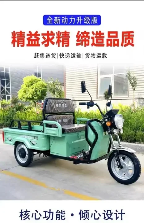 Three-wheeled electric car house hold  old people pick up children mountain pull goods small scooter.